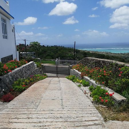 O Bercail Du Sud-Hibiscus Chez Jeannette Villa Saint Gabriel Екстериор снимка